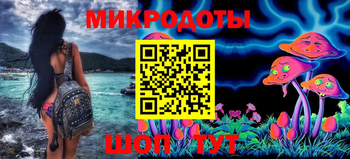 Псилоцибиновые грибы мицелий Гай